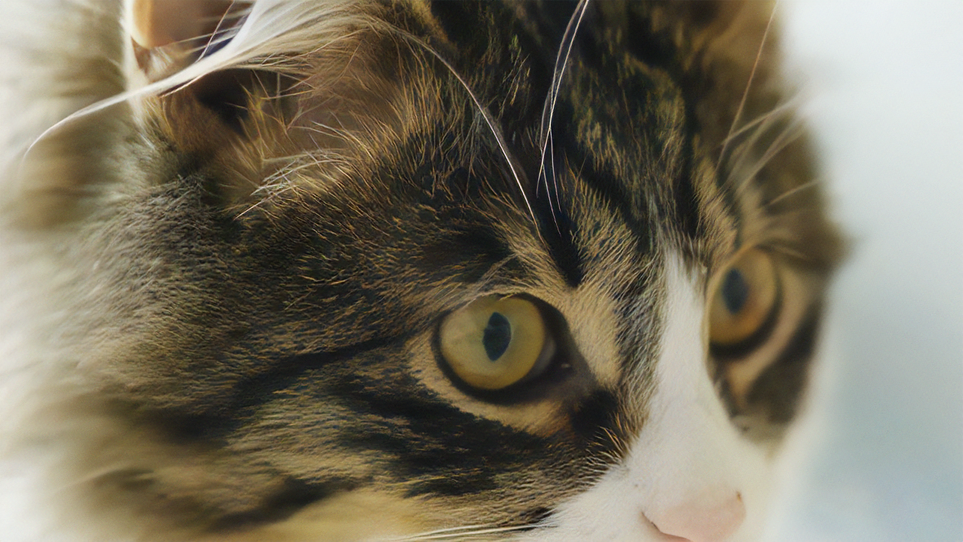 AIアップスケール