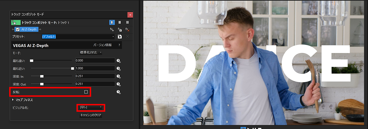 反転オプション